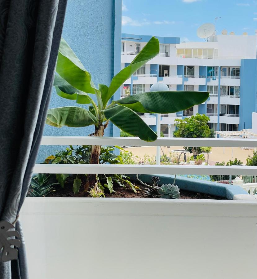 Estrella Apartment ซานมิเกลเดียโบนา ภายนอก รูปภาพ