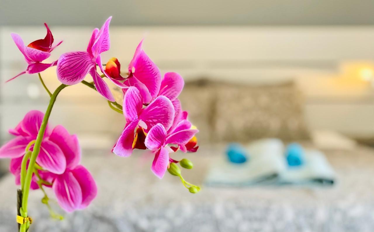 Estrella Apartment ซานมิเกลเดียโบนา ภายนอก รูปภาพ